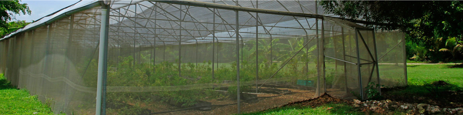 Servicios Puntacana slider - 3