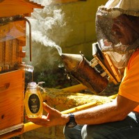 Puntacana Forest Honey gana por cuarta vez primer lugar en Concurso Nacional de Mieles